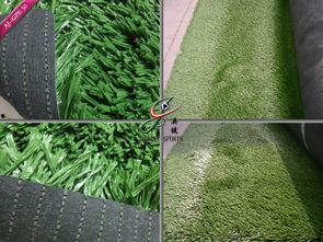 草国产,探寻自然与文化的交融之地